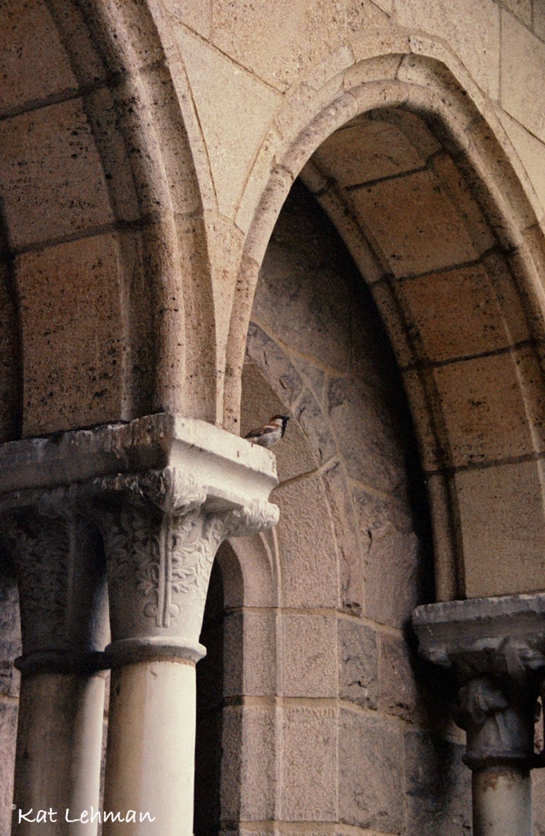 Sparrow singing sweetly.
