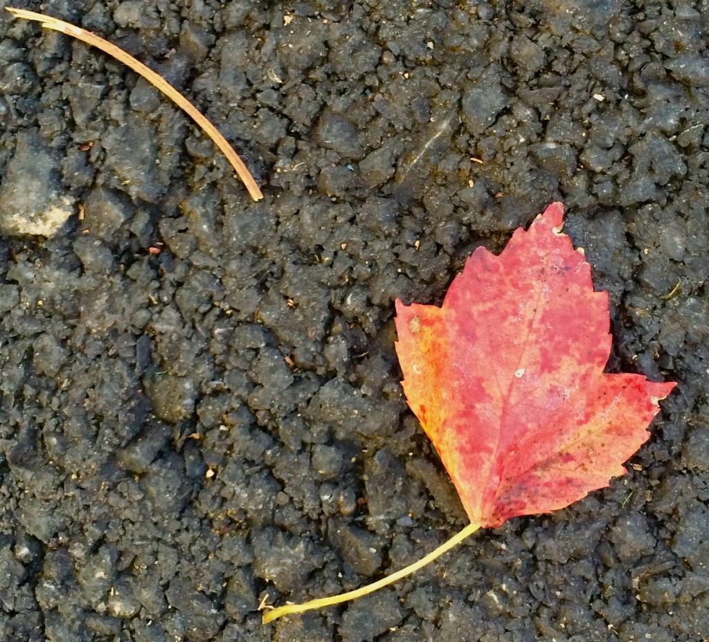 Why am I here and not somewhere&nbsp;else?