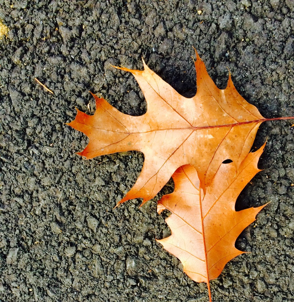 Your Work is Your&nbsp;Gift