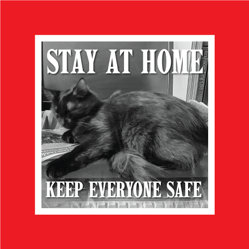 COVID-19 Social Media post stating Stay at Home, Keep Everyone Safe featuring a cat in front of a computer monitor.