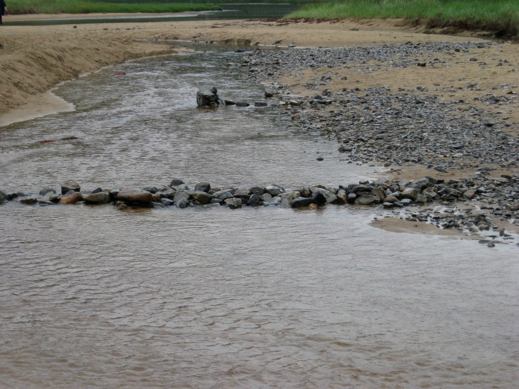 Stream with rocks.